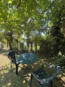 Sommerhus i rolige og natur (fiskeri og tour souvenir 14-18) - Image 5