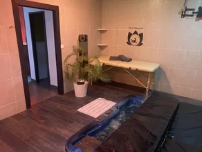 Condominium apartment with jacuzzi and sauna - Image 3