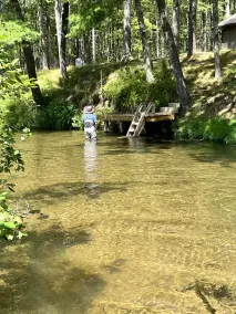 Riverfront cabin, on a secluded section of the Middle Branch, Pere Marquette - Image 5