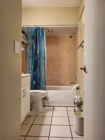Comfy Convenient Condo in Clearwater - Image 3