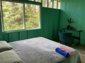Simple convenience studio in tropical forestG4 - Image 4