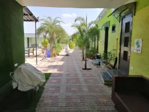 Palm FarmHouse Resort N Swimming Pool Nareli Ajmer Masala Darbar - Image 5