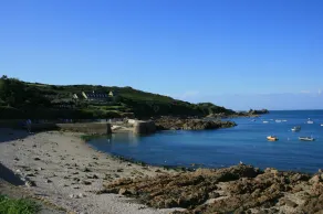 A Saint-Vaast la Hougue casa con giardino esotico vicino al mare (WIFI) - Image 3