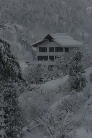 North Star Manali - Image 4