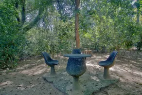 One & only Forest Resort in Batticaloa - Image 4