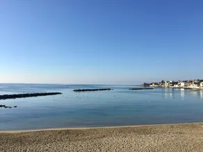 VILLA WITH SEA FRONT POOL 40 min FROM ROME CENTER (S. PIETRO) - Image 4