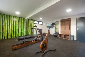 Deluxe one bedroom apartment  on the ground floor of villa Marija - Image 2