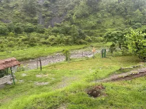 Upasana The Riverside Resort - Image 5