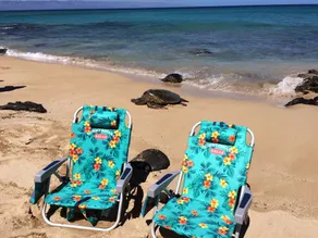 Aloha Hale Ocean View Maui Condo In Ocean Front/Beach Resort Swim with Turtles! - Image 4