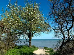 Apt. ACHTERN DIEK - Cozy living just 400 meters from the natural beach - Image 4