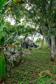 Casa Cabanas La Roca - Image 3