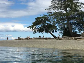Romantic island retreat  surrounded by majestic trees - Image 5