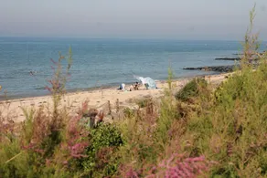 BEAUTIFUL DUPLEX SUNNY DIRECT ACCESS JUNO BEACH - Image 3