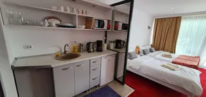 Modern apartment on the shore of Lake Colibița - Image 4