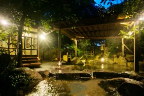 Tokiwa - Image 3