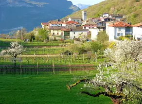 Casa FAIT in the heart of the Dolomites, 6 minutes from Rovereto - Image 4