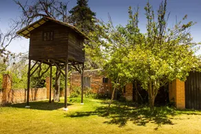 Luciérnagas en Puebla, especie en extinción, casa de campo  con gran jardín - Image 5