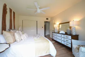 Boho Chic Designer Space Minutes to the Biltmore - Image 5