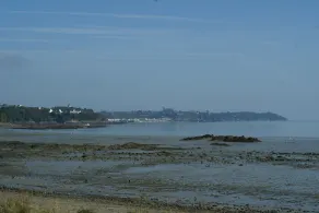 The Cancale Seagulls - Image 5