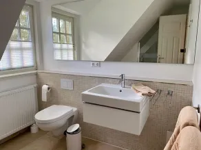 Haus-Seemoewe - Image 4
