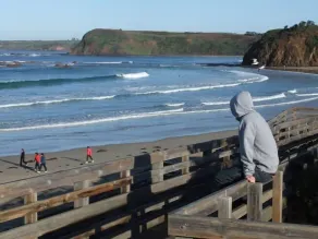 Dolphin Cottage - Dog Friendly*  Free WIFI Ocean Views. 5 min walk to beach! - Image 5