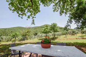 House with private pool & fenced garden 3km from Montecchio. Very quiet area - Image 4