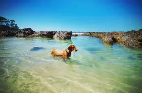 350m walk to two beautiful beaches! - Image 2