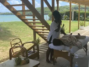 Quaint Beachfront Bungalow - Image 3