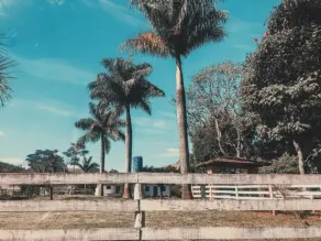 Fazenda Bonanza - Image 3