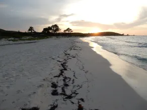 2 soveværelser SUITE-TRINN TIL HVID SAND BEACH-CHEF HUS KEEPER INKLUDERET - Image 5