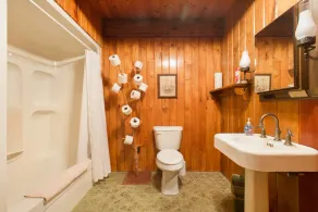Sleeps 11! 5BR/2.5BA LRG Log Cabin on 5 Acres, Close to Hendo/AVL, TWO Kitchens! - Image 5