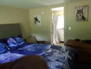 03) The Wolf Den Cabin - Image 4