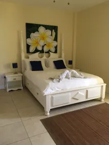 South Sea House Luxurious Apt No 1 - Image 5