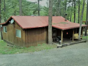 QUAINT COZY CABIN near East Fork, weekly and monthly rates, king bed, fireplace - Image 4