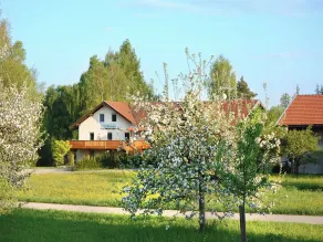 Birkenhof - Image 5