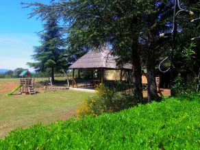 maison sur 3 Ha au calme avec piscine chauffée et jacuzzi 5 places à Gargas - Image 2