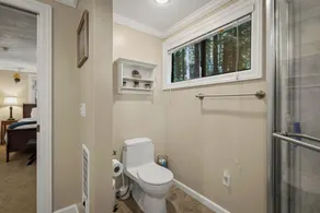 Forest, Spa, Dog Friendly, Great Location! - Image 5
