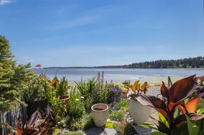Schöne Aussicht auf den Berg Rainier auf Puget Sound - Image 5