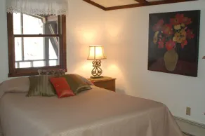 Allegheny Riverfront (Tionesta / Tidioute) - Abgeschiedenes 3000-Quadratfuß-Haus - Image 4