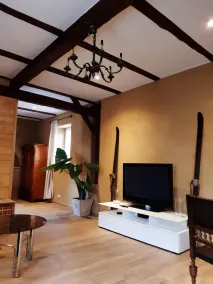 Unique apartment in Chalet Bösleben, a fully ecologically renovated monument - Image 2