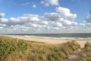Dunes Summer Retreat • Easy Walk to Private Ocean Beach - Image 4