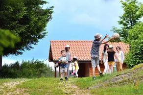Chalet Pleine Nature - Image 2
