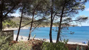 location vue mer du samedi au samedi, clim, parking, piscine, plage - Image 5
