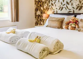 Luxury lodge with king-size bed with en suite shower. - Image 4