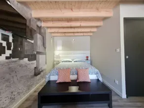 Charming Studio in Renovated Barn with Private Courtyard and Mezzanine - Image 3