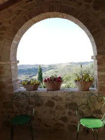 Agriturismo MONSOLE - Montalcino - Image 5