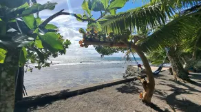 TAHITI - Motu Nono Beach View - Image 4
