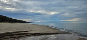 Lovely vacation home, woodsy setting, walk to Warren Dunes, patios, porch, yard! - Image 5