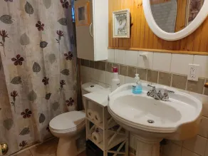 Miller Lake North Bruce Peninsula family cottage - Image 3