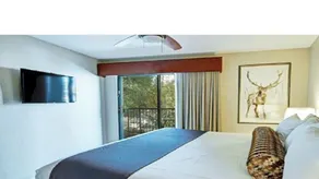 Beautiful Hotel in Durango 1BD - Image 4